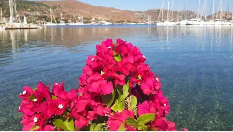 Defne Residence Selimiye Marmaris Daire